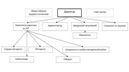 Структура и управление организацией